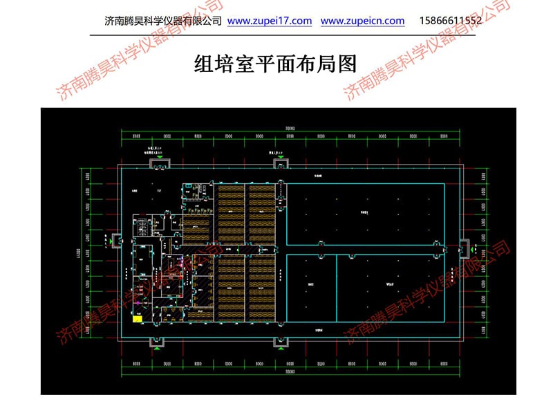 草莓视频在线免费  草莓视频在线免费室