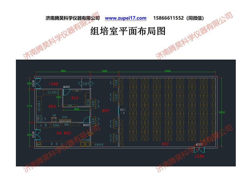 昆明人參果草莓视频在线免费室建設方案