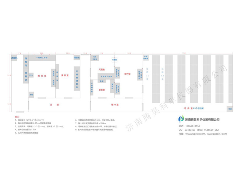 草莓视频在线免费  草莓视频在线免费室