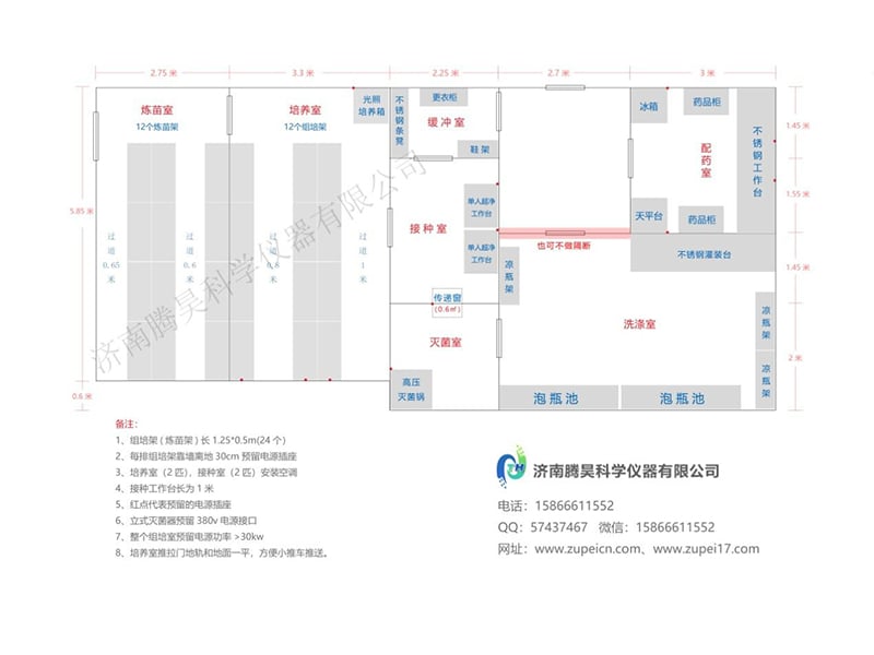 草莓视频在线免费室