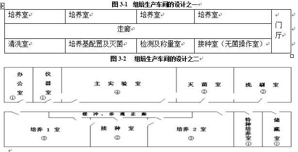 草莓视频在线免费室設計基本規則