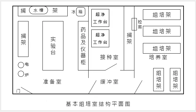 草莓视频在线免费室建設的技術要求