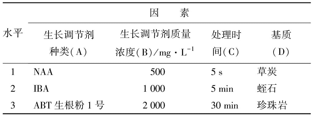 輪生冬青草莓视频在线免费苗微枝試管外生根技術